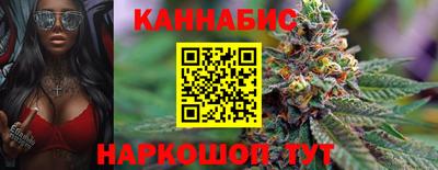 сатива Моздок