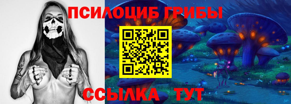 Галлюциногенные грибы мицелий  Вход с VPN  Славгород 