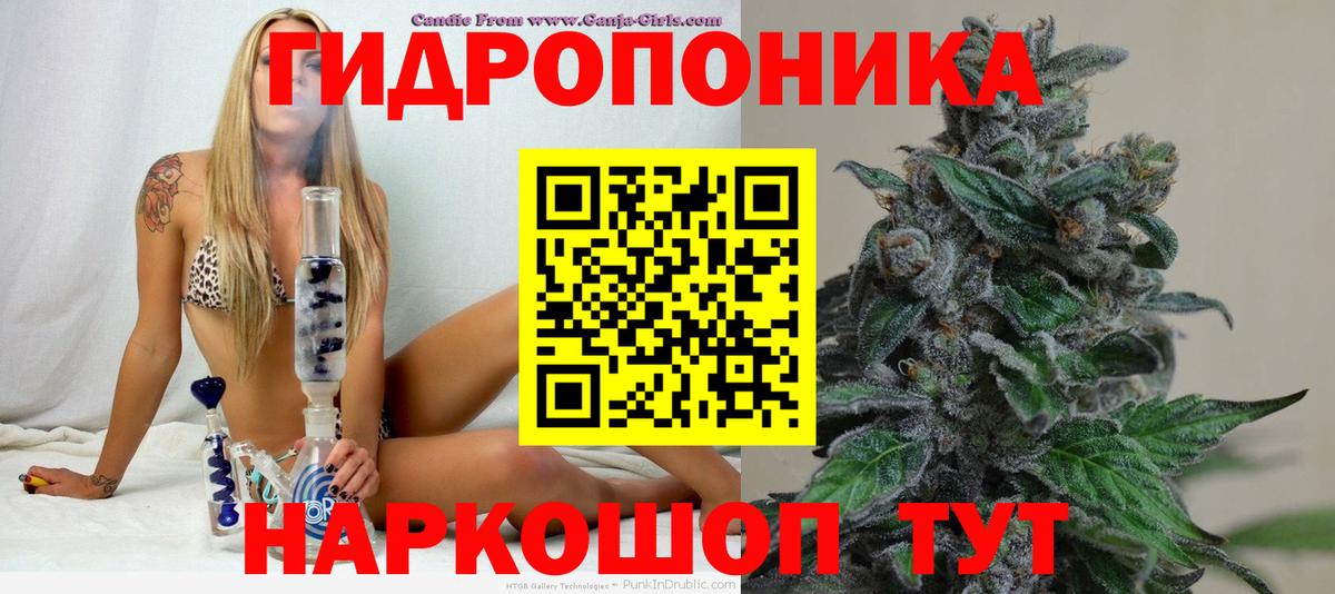 Марихуана сатива  Каннабис SATIVA & INDICA  Конопля AK-47  Славгород  Вход с VPN  Конопля семена 